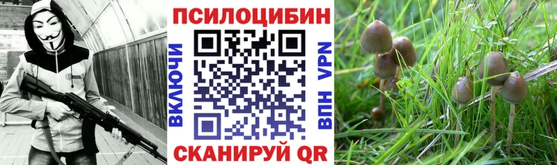 Галлюциногенные грибы мухоморы  Купить  Дивногорск 